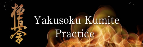 Kumite practice